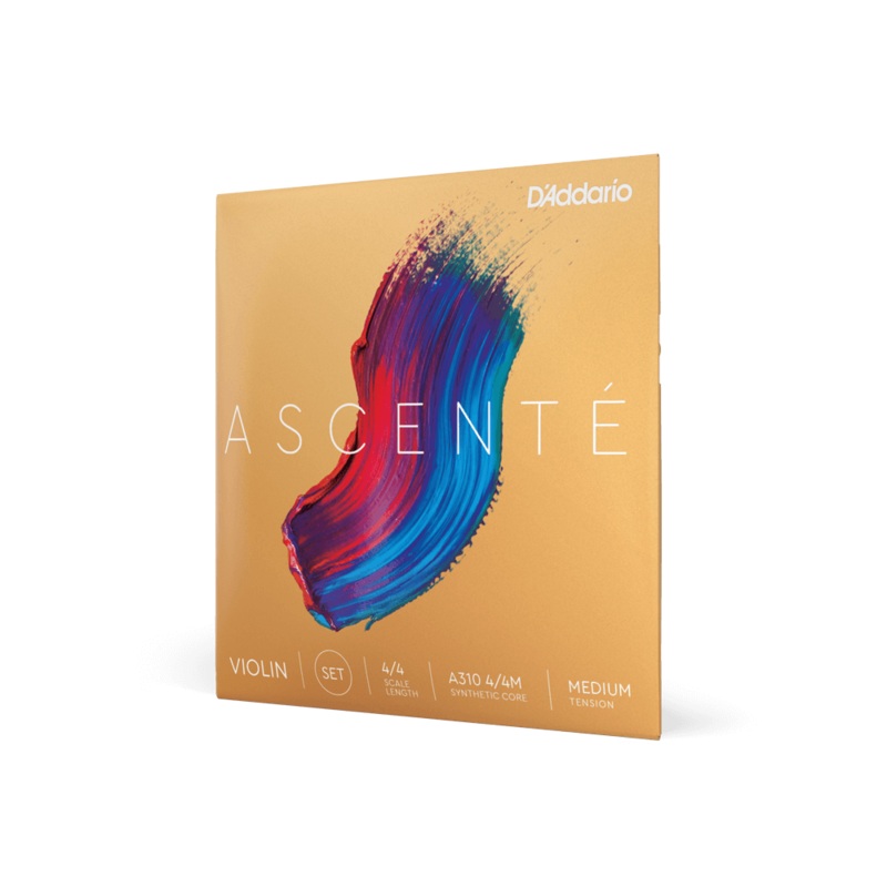 Violin - Ascente Strings