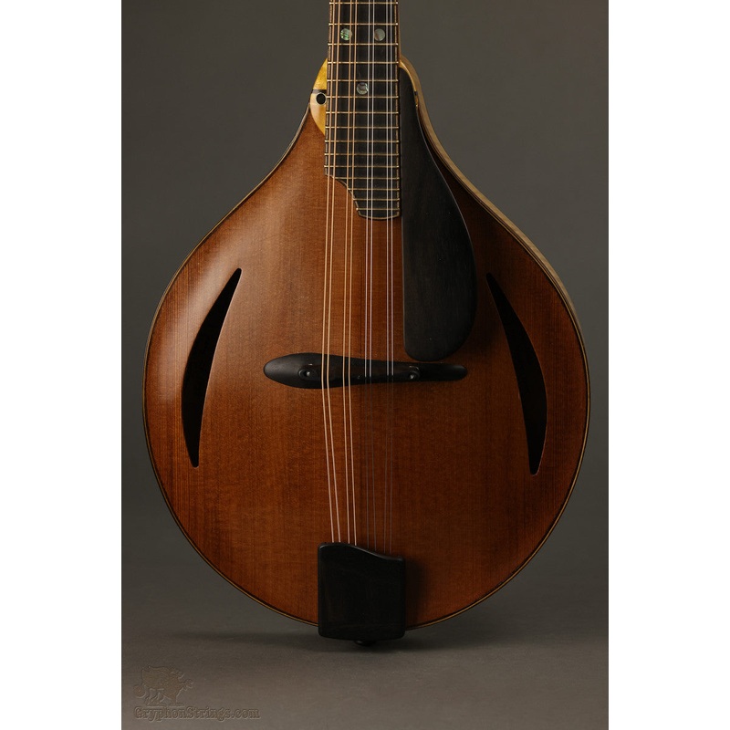 1999 David Cohen A Style Mandolin Used