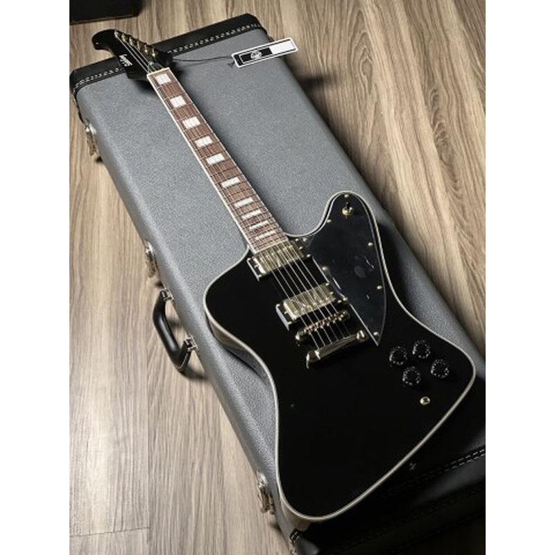 Soloking FB Custom in Black Beauty with Gold Hardware JESCAR
