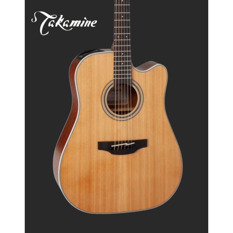 Takamine GD20CE-NS Acoustic Electric Guitar
