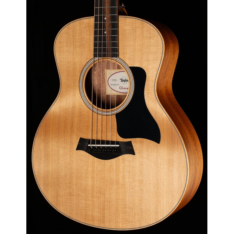 Taylor GS Mini Sapele (116)