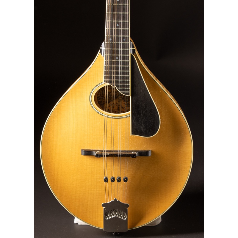2009 Collings MT-20 Natural