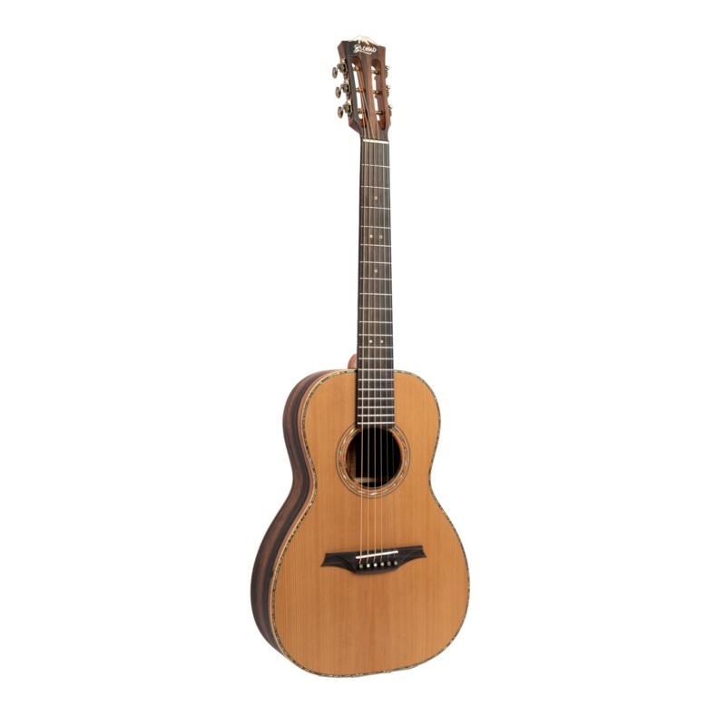 BROMO BAR6E Acoustic/Electric