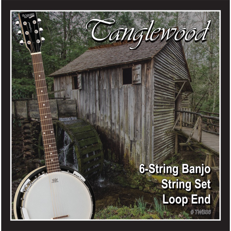 Tanglewood TWBS6 Banjo 6-String Set - Loop End