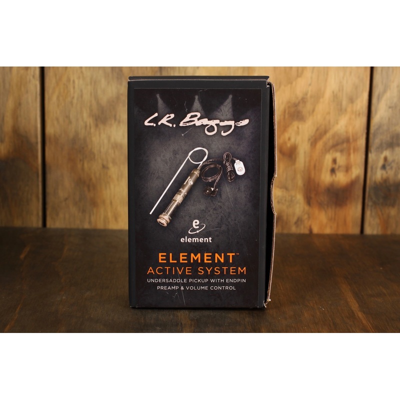 LR Baggs EAS Element Active System