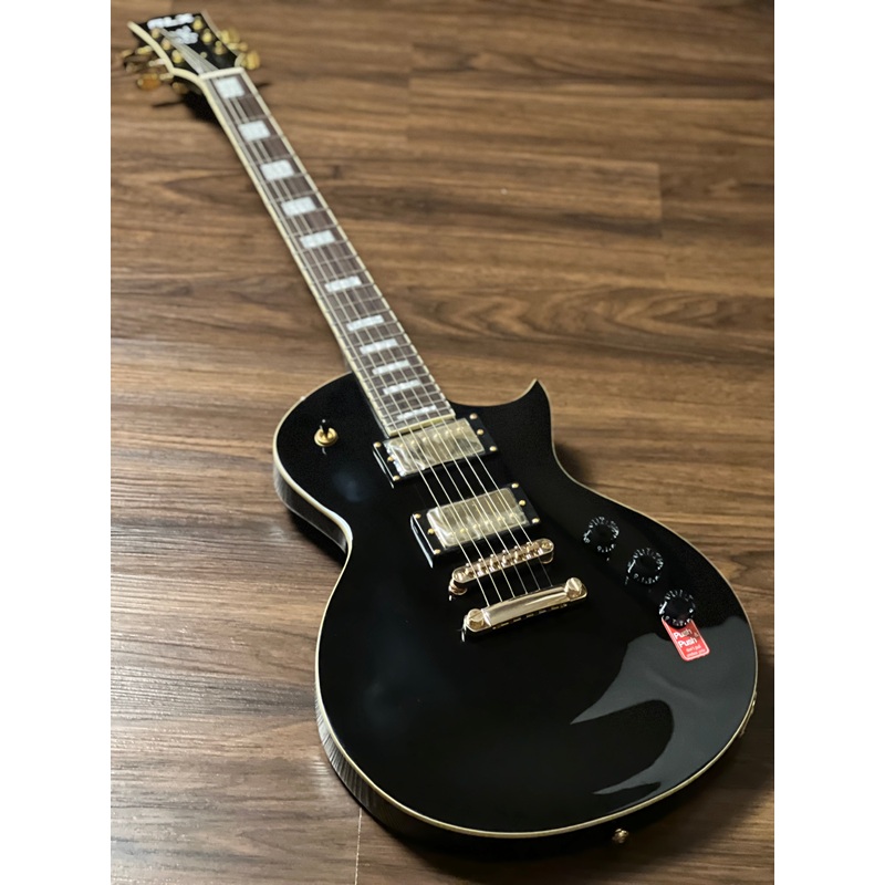 SLX Eagle Modern 24 in Black Gloss with RW FB and Gold Hardware