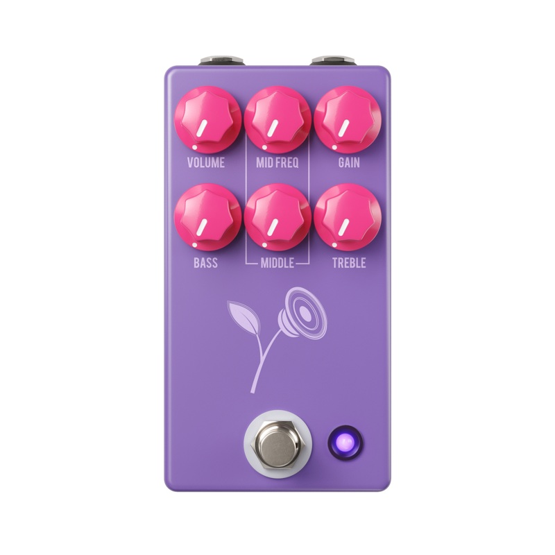 THE VIOLET PURPLE