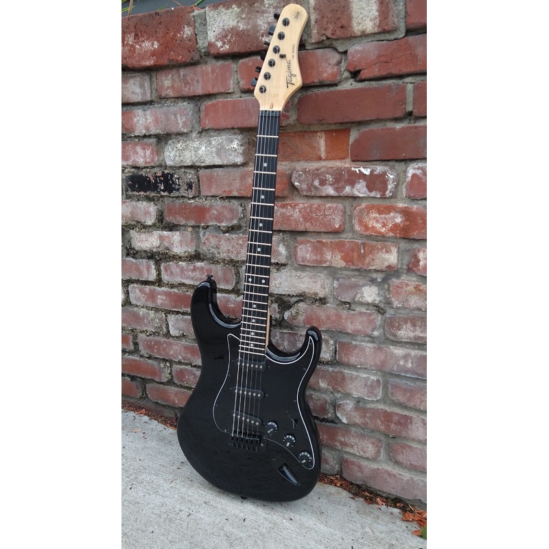 Tagima TW Series TG-500