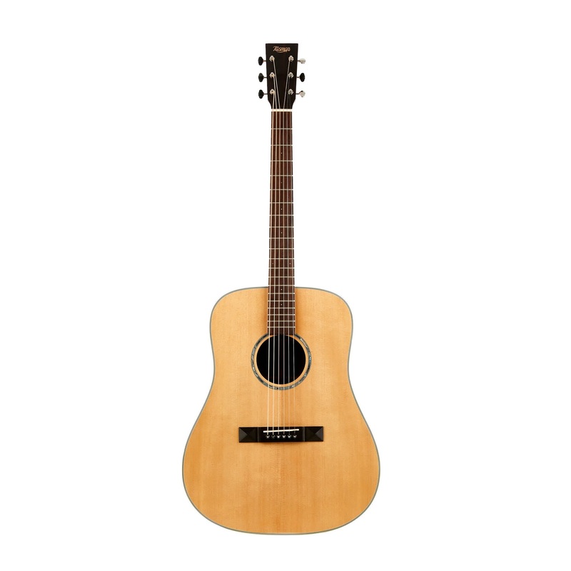 Tasman Captain TA200-E Dreadnaught Acoustic/Electric Guitar w/Case