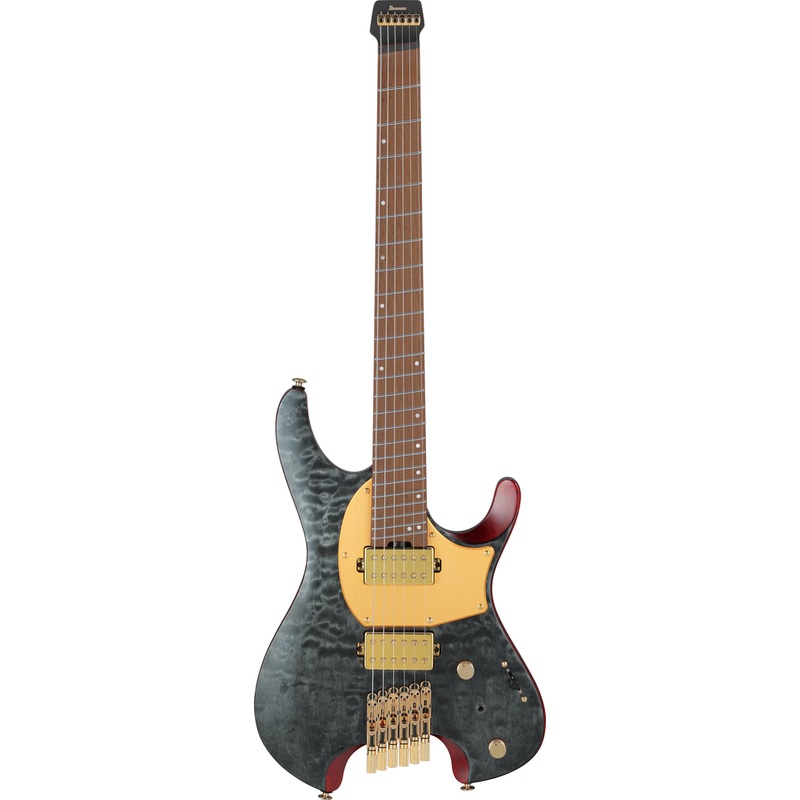 Ibanez MGFM10 Manual Gardner Signature Guitar - Obsidian Black Low Gloss