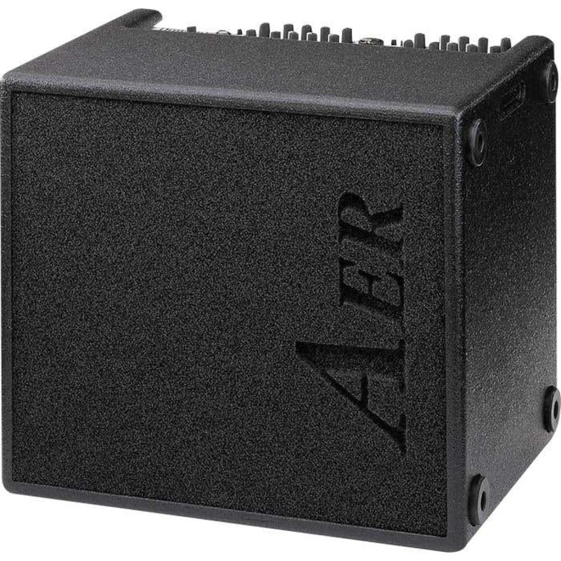 AER Domino2 100w Acoustic Guitar Amp