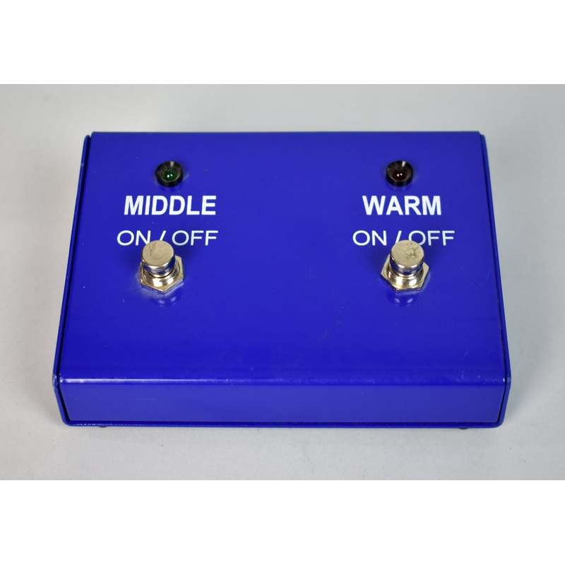 George Dennis 2-Button Amplifier Footswitch