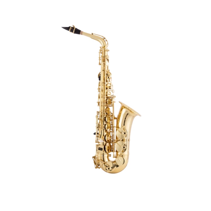 Selmer Paris 52AXOS Professional Alto Saxophone